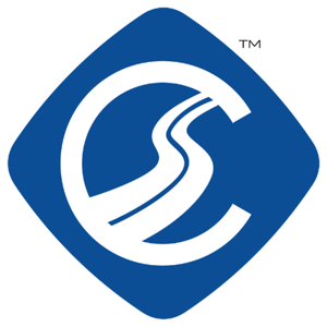 Camino Information Services logo