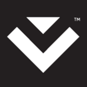 VYNYL logo