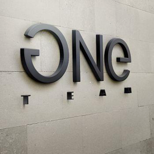 OneTeam logo