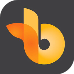 Rains | Birchard Marketing logo