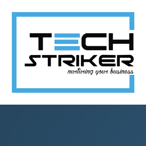 Tech Striker logo