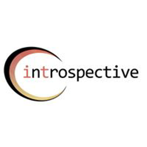 Introspective logo