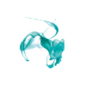 Sectorlight logo