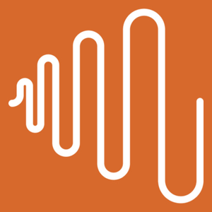 The Amplifier Group logo