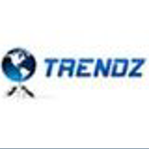 Trendz Web Solution logo
