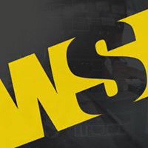 The Web Squad logo