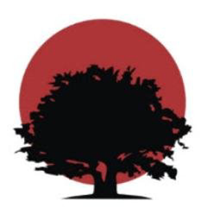 Ruby Moon Consulting logo