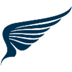 NetAngelS logo