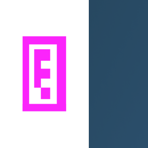 Evisible logo