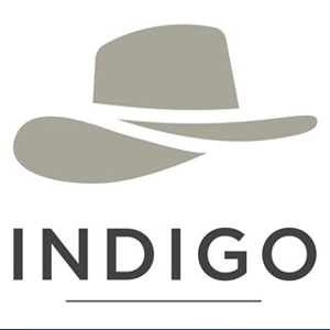 INDIGO Concept Ltd logo