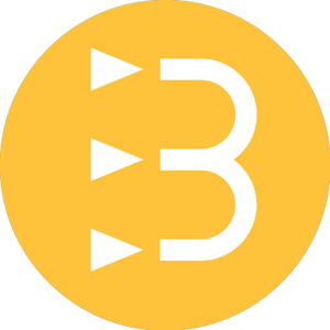 The Bradford Group logo