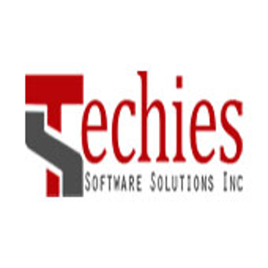 Techies Software Solution Inc logo