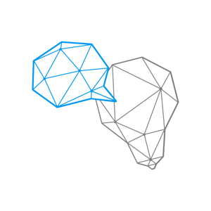 DCNEARSHORE logo