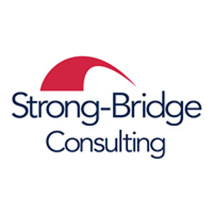 Strong-Bridge Consulting logo
