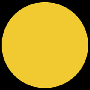 IPNY logo