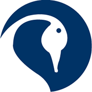 Sysne logo