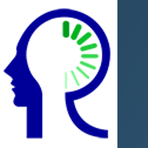 Rally Solutions Pvt Ltd logo