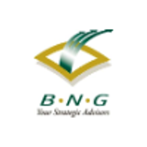 BNG Accountancy logo