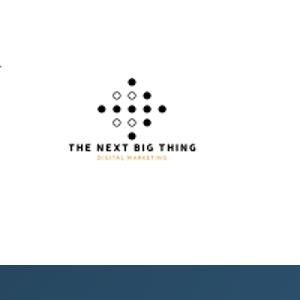The Next Big Thing - Digital Marketing Agency logo
