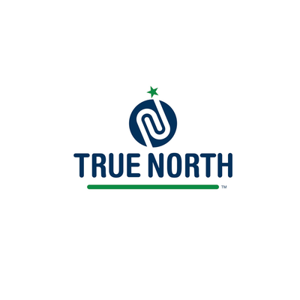 True North Consultants logo