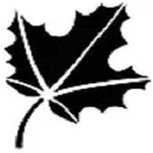 Silverleaf Outdoor Lighting logo