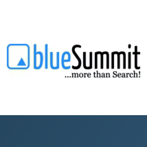 Blue Summit Media logo