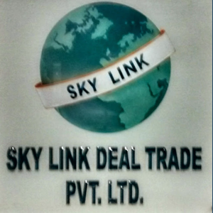 Skylink Dealtrade logo