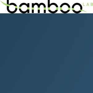 Bamboo Lab logo