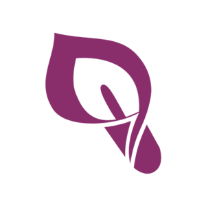 Sandy Flom, CPA, CFP logo