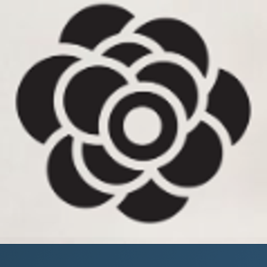 Tricia Koning Photography logo