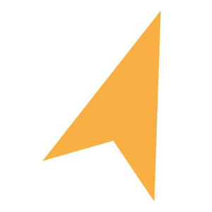 North Star Destination Strategies logo