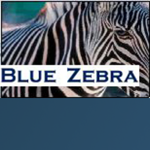 Blue Zebra logo