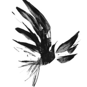 Hudson Sandler logo