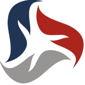 ARDEM Incorporated logo