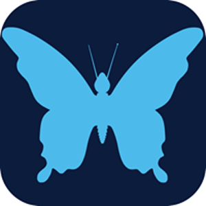 Papalotl Technologies logo