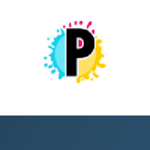 PubliExterno logo