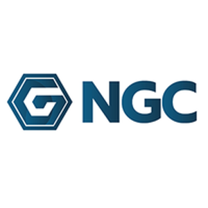 VIN Group (NGC) logo