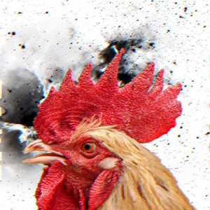 Cafundó Estúdio Criativo logo