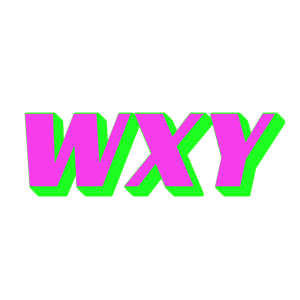 WXY logo