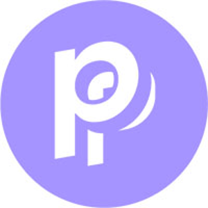 Partisan Advertising logo