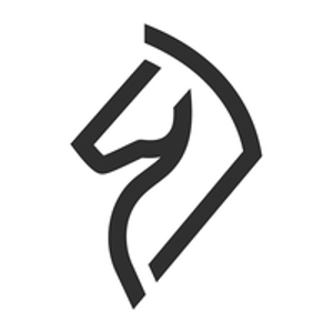 Strategy Creative logo