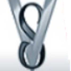 Vertisystem logo