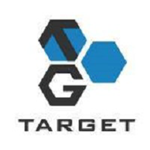Target Interactive Media Inc. logo