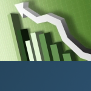 Rlp Business Solutions logo