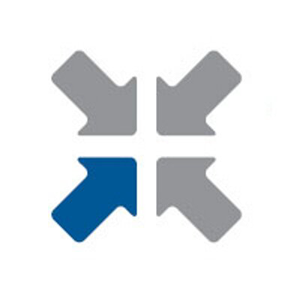 Vanadium Interactive logo