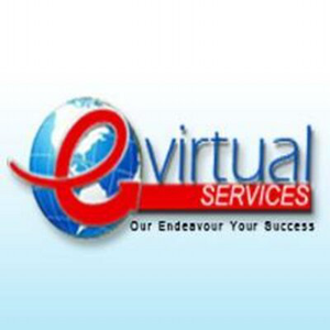 E Virtual Services logo