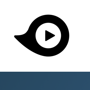 Demo Duck logo