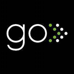 Godixital logo