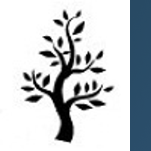 Nonprofit Suite logo