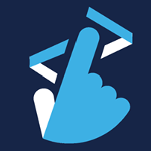 Palma Online Solutions logo